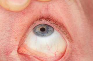 HD Eyes Sam Atkins eye eye texture eyelash iris pupil…
